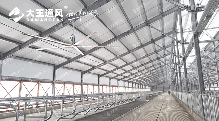 俄羅斯牛場工業(yè)大風(fēng)扇